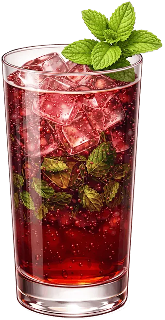 Hibiscus Berry Nojito